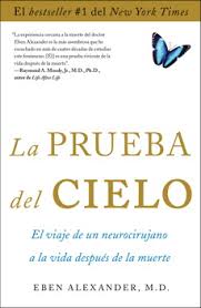 descarga