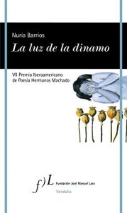 La luz de la dinamo La luz de la dinamo