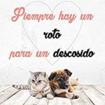 Siempre hay un roto para un descosido
